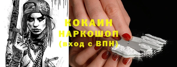 гидра Белокуриха