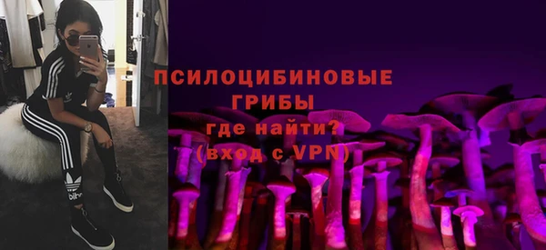 гидра Белокуриха