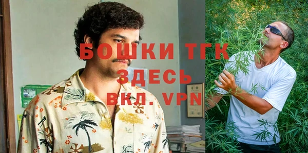 гидра Белокуриха