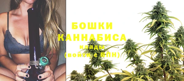 гидра Белокуриха